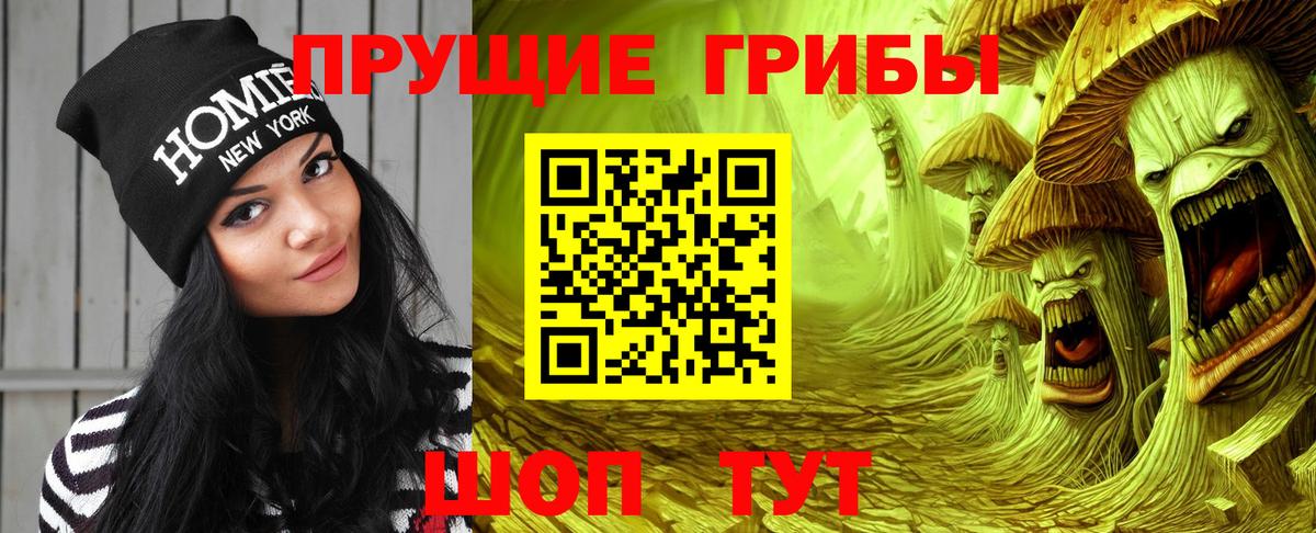 Галлюциногенные грибы Psilocybe  Вход с VPN  Галлюциногенные грибы Cubensis  Добрянка 
