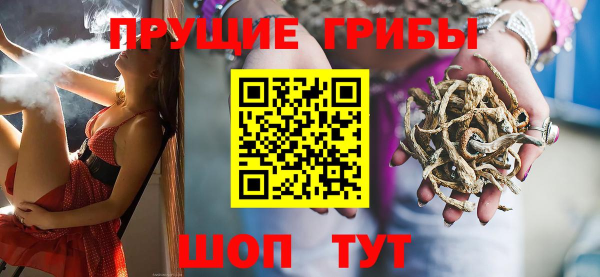 Псилоцибиновые грибы GOLDEN TEACHER Добрянка